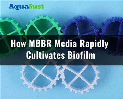 Com (Moving Bed Biofilm Reactor) MBBR Media cultiva ràpidament el biofilm